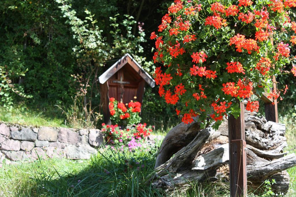Ferienbauernhof Masunerhof Fiè Extérieur photo